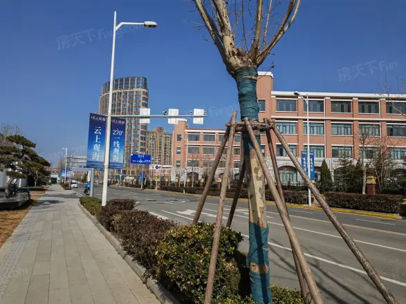 观海听澜实景图