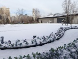 小区园林雪景