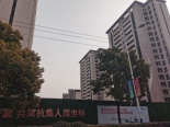 在建工地实景图