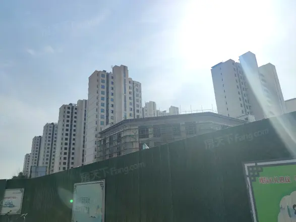 中集禹洲江山赋实景图