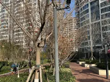 国奥天地大三室 东打头精装 好户型 房主诚心卖