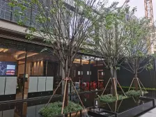 次新小区,四房适合改善,龙湖物业管理,全屋智能家居