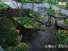 龙湖大顶跃!大露台