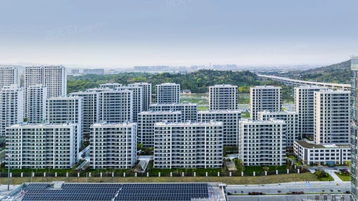 荣安·林语沁雪实景图