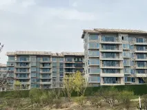 万科浑南新都心在建楼栋