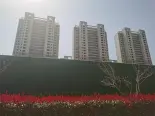 项目实景图