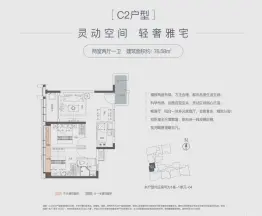 龍光·玖雲匯2室2厅1厨1卫建面78.58㎡