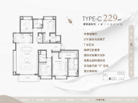 C户型 229平