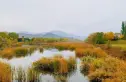阳光城·溪山悦实景图