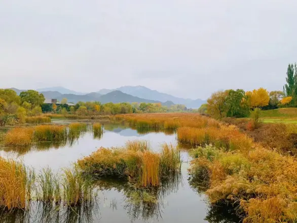 阳光城·溪山悦实景图