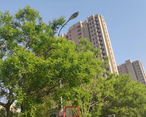 东冠逸品龙湾免大税一楼可居住可商用南北通透采光好