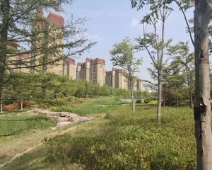 李沧区 双层 电梯 好出租 配套齐全 交通便利
