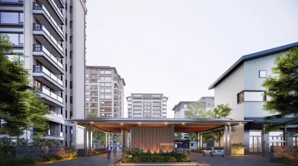 鹤山溪谷效果图