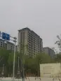 在建楼栋实景图