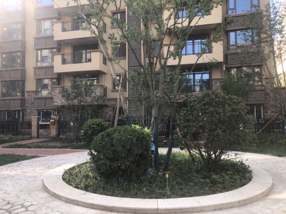 白鹿溪谷实景图