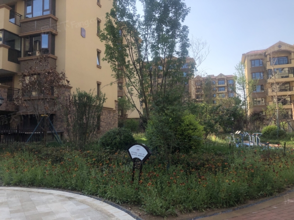 白鹿溪谷实景图