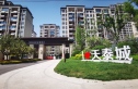 天泰金大地新地城实景图