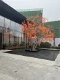 售楼处