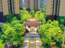 北新御龙湾 3室1厅 南