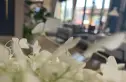 万科·雲庐别墅实景图