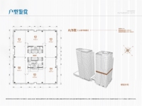 A/B栋（12层平面图）