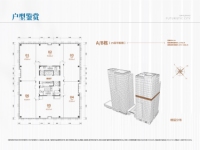  A/B栋（15层平面图）