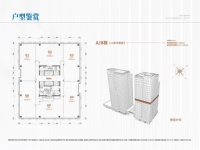  A/B栋（13层平面图）