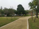 龙湾湿地乐跑公园