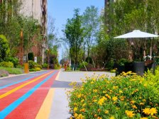 北新御龙湾 3室2厅 东南