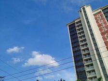 中洲城邦3室2厅南