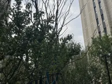 10层洋房二次装修好楼层南北通透