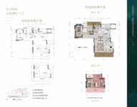 193平洋房户型