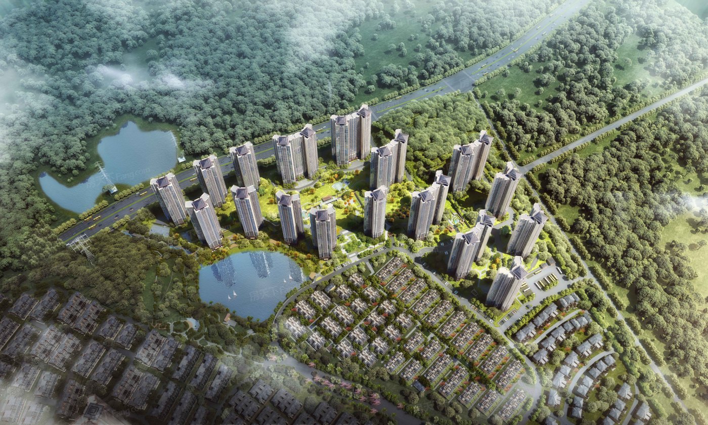 华发观山水