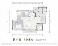 龙湖·天府晴川B户型143㎡