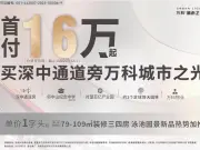 万科城市之光
