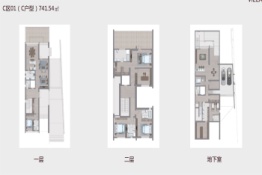 音昱水中天意舍5室5厅2厨6卫建面741.54㎡