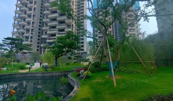 ԣԴ������