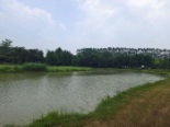 燕岭湿地公园