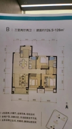 善园·五针3室2厅1厨2卫建面126.50㎡