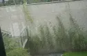 住总首开保利熙悦雲上实景图