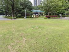 东南朝向采光通风好带装修业主诚心出手售