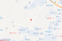 经开区(头区)维泰南路以西电子地图