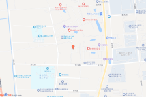 姜山镇龙江路北杭州路东JS0102-19电子地图