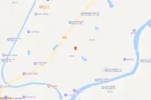 龙泉镇水府庙村电子地图
