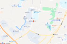 两江新区龙兴组团C分区C50-1-1地块电子地图