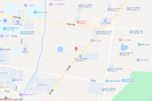 故城县郑口镇张庄村北、幸福路北侧地块电子地图
