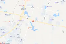 胶王路以南，黄杨路以西电子地图