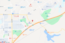 梁平区大河坝电子地图
