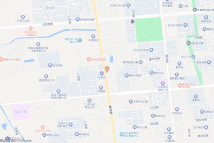 青岛路东重庆中路南地块电子地图