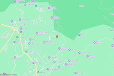 武隆区仙女山街道石梁子社区大水井组[武隆]